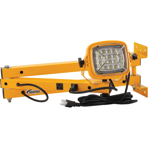 Dock Light, 40" Arm, 50 W, LED Lamp, Metal PR Distribution
