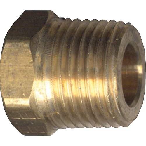 Hex Head Cored Plug, Pipe, 1/4" Dia., Brass PR Distribution