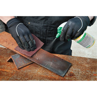 Nettoyant et restaurateur acide tr&egrave;s puissant Power Cleaner 100, 3,78 L, Cruche PR Distribution