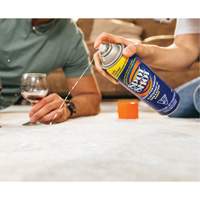 D&eacute;tachant instantan&eacute; et professionnel pour tapis Spot Shot, 496 g, Canette a&eacute;rosol PR Distribution