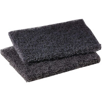 Tampon de polissage pour plaque de cuisson Scotch-Brite, 4" lo x 5" la PR Distribution