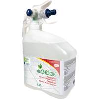 Concentrated Descaler, Cleaner & Dust Remover, Jug, 4 L PR Distribution