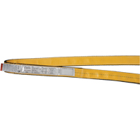&eacute;lingues de levage en polyester, Pli Simple, Sans fin, Type 5, 1" la x 3' lo, Capacit&eacute; verticale 3200 lb PR Distribution
