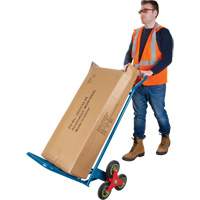 Diable monte-marches, Cadre en Acier, 23-3/4" la x 45-5/8" h, Capacit&eacute; de 300 lb PR Distribution