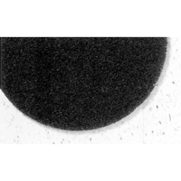 Tampons de d&eacute;capage Pro-Strip s&eacute;rie 7300, 17", D&eacute;capant, Noir PR Distribution