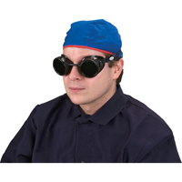 Lunettes &agrave; coque, Lentille 5,0, Anti-&eacute;gratignures, Ventilation Ferm&eacute; PR Distribution