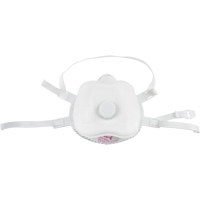 Respirateur contre les particules, P100, Certifi&eacute; NIOSH, Moyen/grand PR Distribution