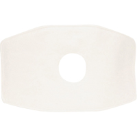 North&reg; Replacement Filter, Particulate Filter, N99 Filter PR Distribution