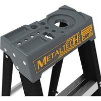 Escabeau avec plateau &agrave; peinture, 10', Fibre de verre, Capacit&eacute; 250 lb, Type 1 PR Distribution