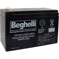 Lead Acid Batteries